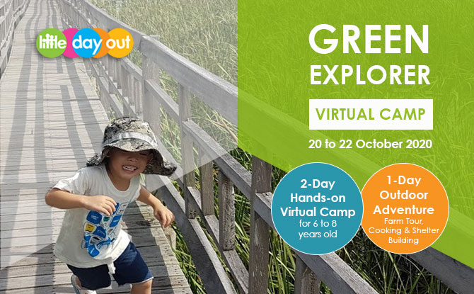 Join A Highly Experiential Green Explorer Camp This October School Break!