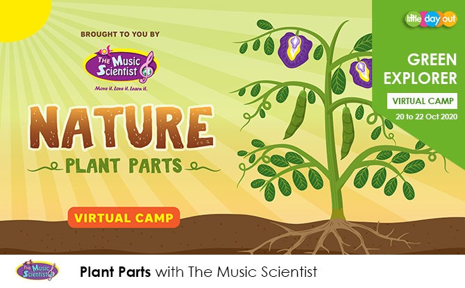 Green Explorer Camp: Plant Parts by The Music Scientist