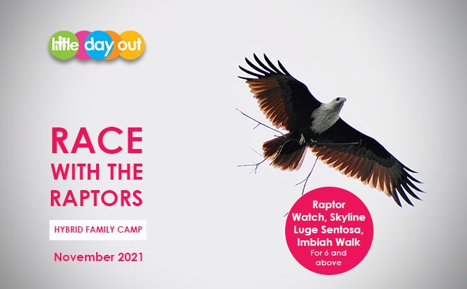 Little Day Out’s 2021 Wild & Wonderful Year-end Family Bonanza: Race with the Raptors Family Camp