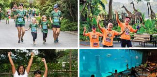 Mandai Wildlife Run Is Back: 5 Reasons To Join This Family-Friendly Run Alongside Your Favourite Animals