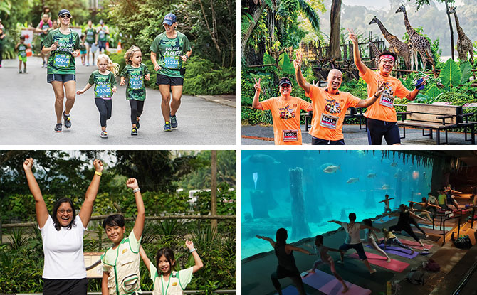 Mandai Wildlife Run Is Back: 5 Reasons To Join This Family-Friendly Run Alongside Your Favourite Animals