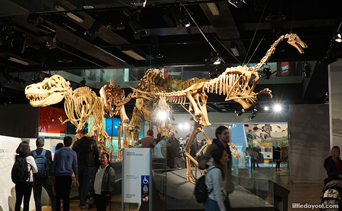 A Visit To The Melbourne Museum Is A Fascinating Journey Through Natural And Australian History 01-Melbourne-Museum