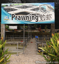 Prawning