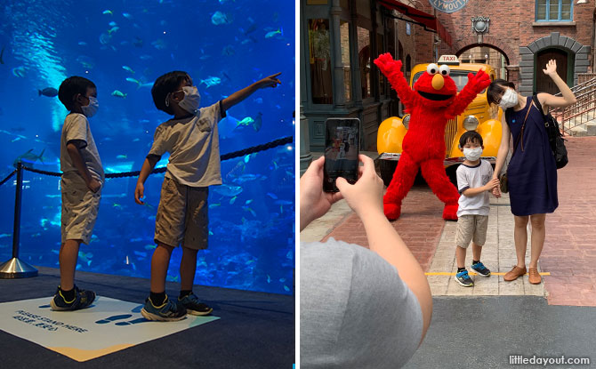 5 Essential Things To Know About Visiting Universal Studios Singapore, S.E.A. Aquarium & Resorts World Sentosa In Phase 2