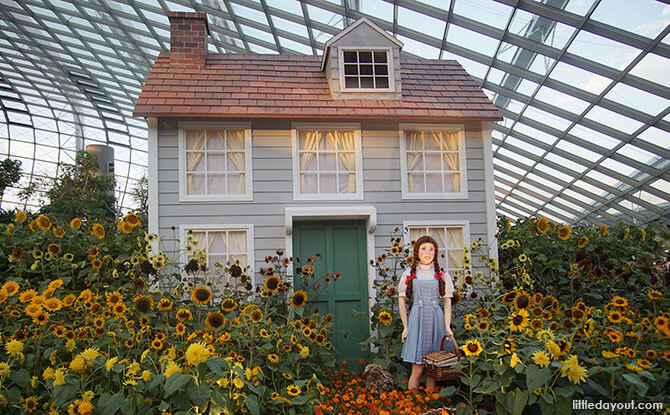 Dorothy at Sunflower Surprise