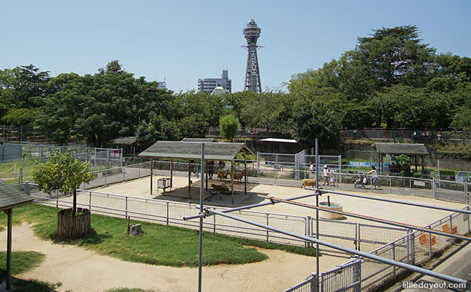 Friendship Square, Tennoji Zoo, Osaka