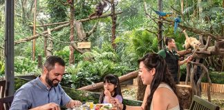 Breakfast In The Wild: Dine With The Animals At Singapore Zoo
