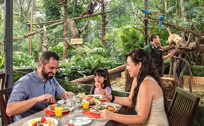 Breakfast In The Wild: Dine With The Animals At Singapore Zoo