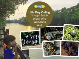 Wow! Wild Wetlands Walk Little Day Outing