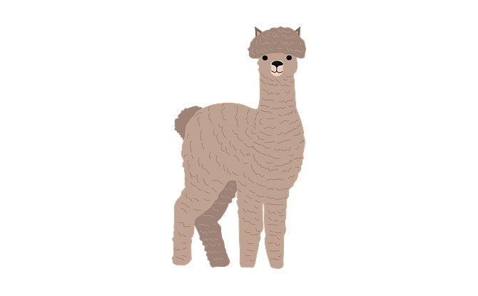 18 Alpaca Jokes To Laugh About