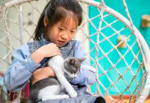 Places to Interact with Animals in Singapore (Other Than The Zoo)