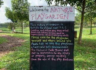 Bishan-Ang Mo Kio Park Nature Playgarden: Simple Outdoor Play For Kids