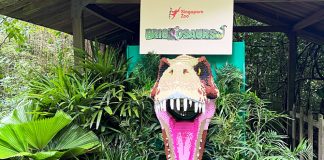 Enter The Brickosaurs World At Singapore Zoo and River Wonders: More Then 60 life Sized Brick Dinosaurs