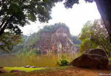 01-bukit-batok-town-park