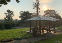 Bukit Panjang Neighbourhood 2 Park: Hillside Retreat With An Obstacle Playground