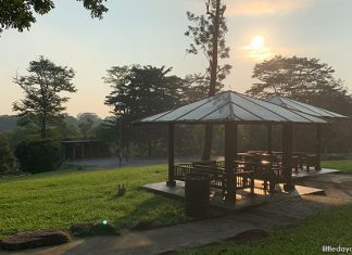 Bukit Panjang Neighbourhood 2 Park: Hillside Retreat With An Obstacle Playground