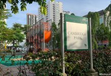 Cambridge Park: Wallhola Vertical Playground & Green Space Cambridge Park: Wallhola Vertical Playground & Green Space