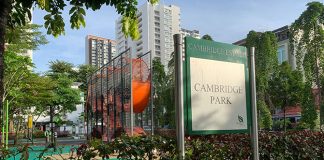 Cambridge Park: Wallhola Vertical Playground & Green Space