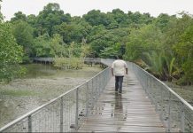 Chek Jawa Virtual Tour