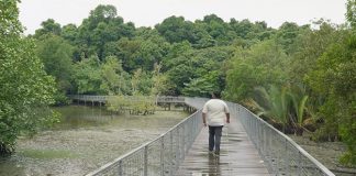 Chek Jawa Virtual Tour