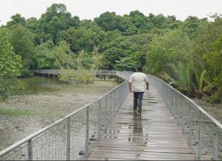 Chek Jawa Virtual Tour, Including A Visit To Off-Limits Bat House Chek Jawa Virtual Tour