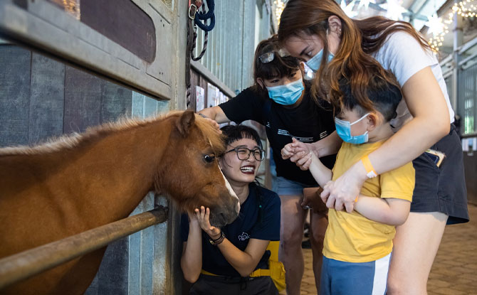 Christmas at the Stables
