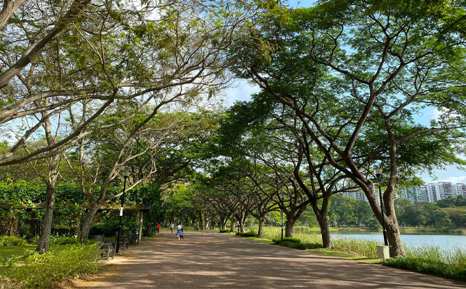 SG Clean Day To Happen On 31 October 2021