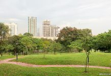 Clementi Woods Park: At The Edge Of The Ridges Clementi Woods Park: At The Ridges' Edge