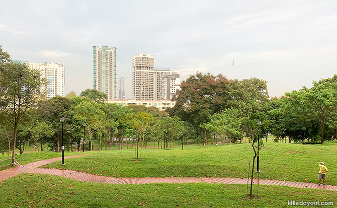 Clementi Woods Park: At The Ridges' Edge