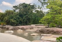 Clusia Cove: Water Play With Tides At Jurong Lake Gardens Clusia Cove: Water Play With Tides At Jurong Lake Gardens