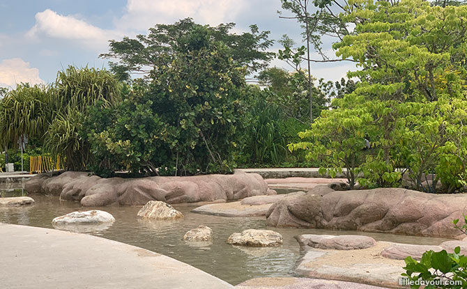 Clusia Cove: Water Play With Tides At Jurong Lake Gardens