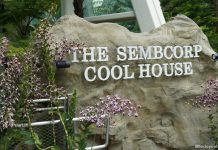 5 Things To See At The Sembcorp Cool House Sembcorp Cool House
