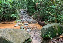 Rifle Range Link: Hiking Between Rifle Range Road & Sime Track Rifle Range Link Stream