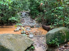 Rifle Range Link Stream