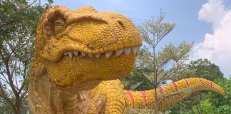 Huge T-rex And Other Dinosaurs Spotted Along Changi Airport Connector, Near HUB & SPOKE