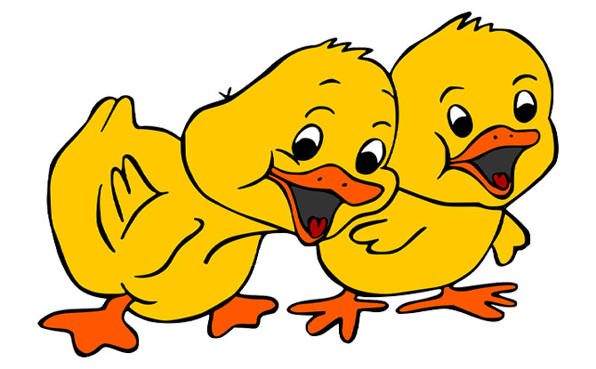 70+ Duck Jokes To Get You Quacking Up With Laughter 70+ Duck Jokes To Get You Quacking Up With Laughter