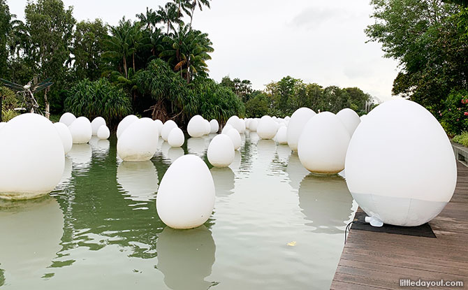 Eggs At Gardens By The Bay