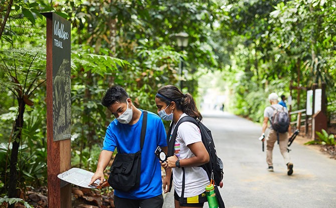 Learning Stations at Dairy Farm Nature Park