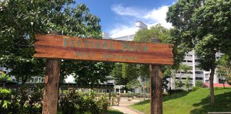 Festival Park At Tampines: Open Spaces To Exercise And Play