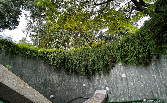 When To Go To The Fort Canning Tree Tunnel