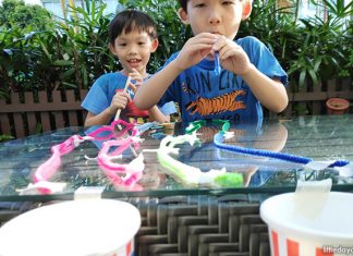 5 Types Of Games To Play During Chinese New Year Visitations 5 Types of Screen-free Games To Play During Chinese New Year Visitations