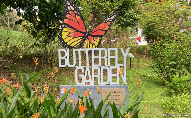 Garden Hill Park, Butterfly Gardens in Singapore