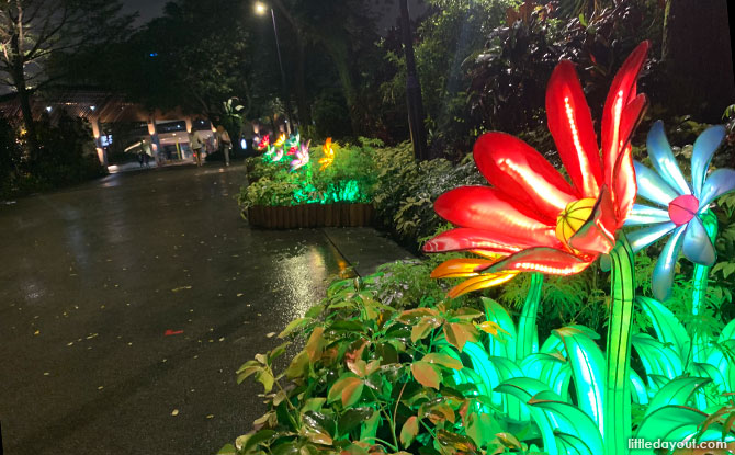 Flower Lanterns