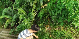 Go On A Treasure Hunt: Geocaching With Kids