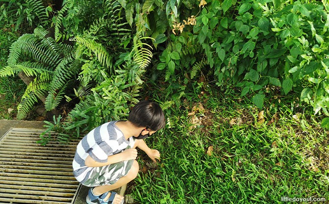 01-geocatching Go On A Treasure Hunt: Geocaching With Kids