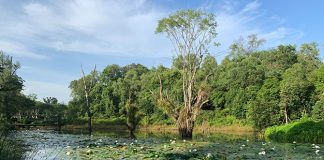 Hampstead Wetland Park in Seletar Aerospace Park