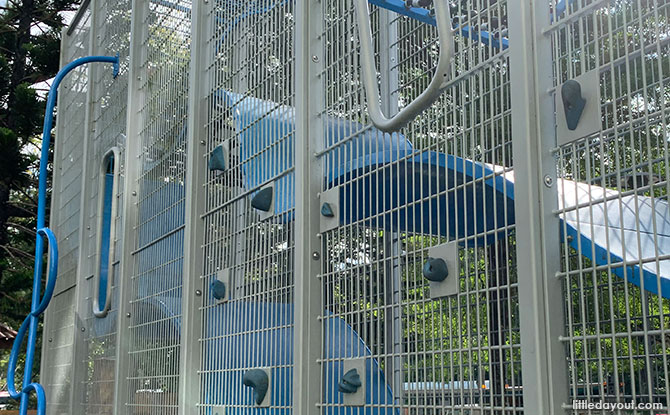 Vertical Playgrounds in Singapore