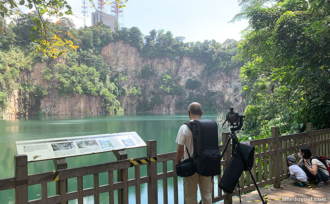 Hindhede Nature Park: A Quiet Corner