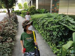 Island Wanderer Review: Labyrinth at Tanjong Pagar