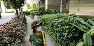 Island Wanderer Review: Labyrinth at Tanjong Pagar